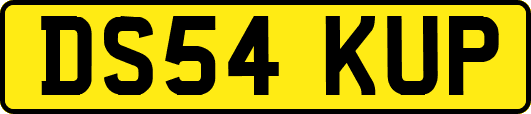 DS54KUP
