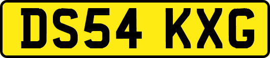 DS54KXG