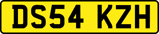DS54KZH