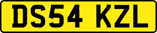 DS54KZL
