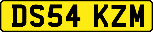 DS54KZM