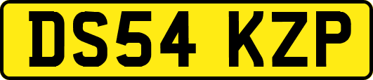 DS54KZP