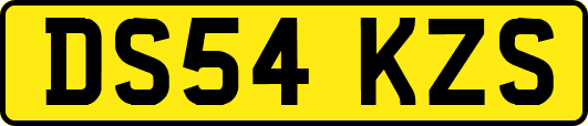 DS54KZS