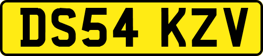 DS54KZV