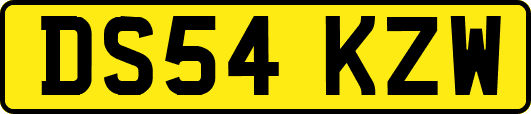 DS54KZW