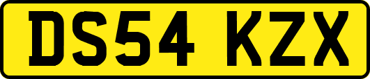 DS54KZX