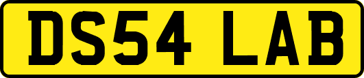 DS54LAB
