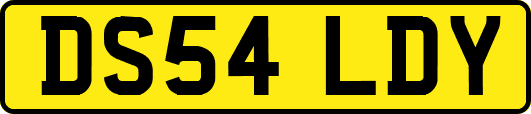 DS54LDY