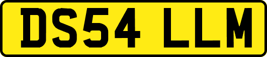 DS54LLM
