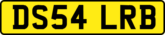 DS54LRB