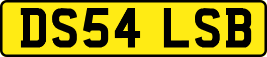 DS54LSB