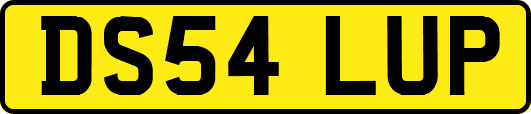 DS54LUP