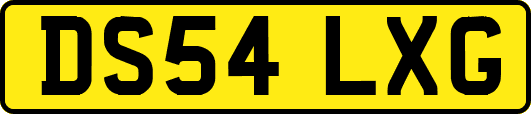 DS54LXG