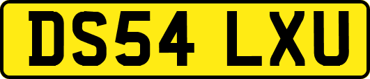 DS54LXU