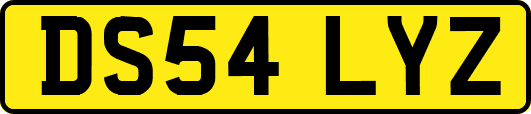 DS54LYZ