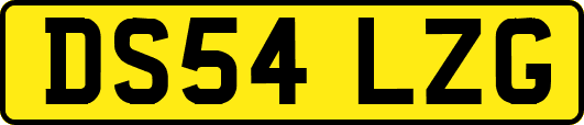 DS54LZG