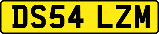 DS54LZM