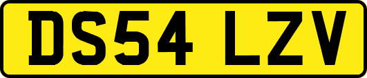 DS54LZV