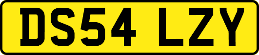 DS54LZY