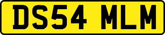 DS54MLM