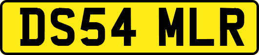 DS54MLR