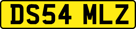 DS54MLZ