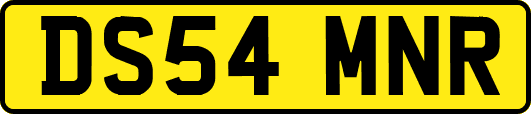 DS54MNR
