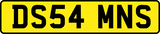 DS54MNS