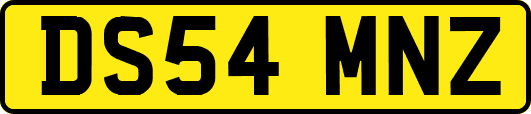 DS54MNZ