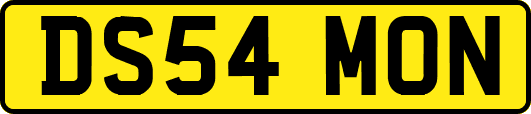 DS54MON