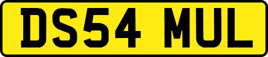 DS54MUL