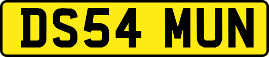 DS54MUN