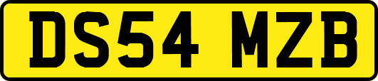 DS54MZB