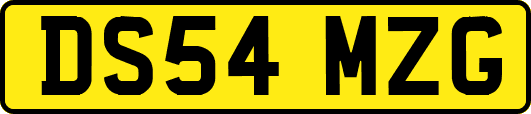DS54MZG