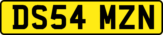 DS54MZN