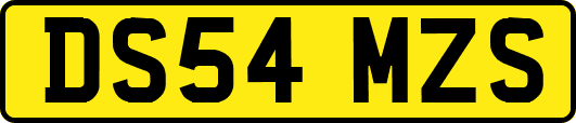 DS54MZS