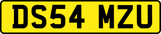 DS54MZU