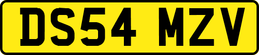 DS54MZV
