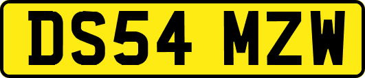 DS54MZW