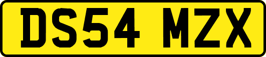 DS54MZX