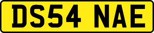 DS54NAE