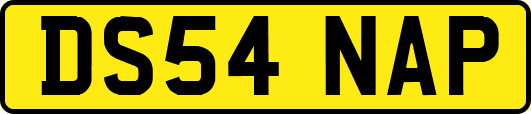 DS54NAP