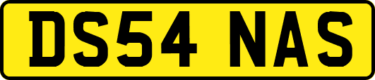 DS54NAS
