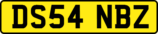 DS54NBZ