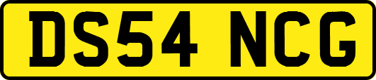 DS54NCG