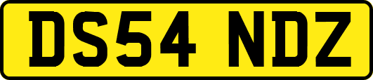 DS54NDZ