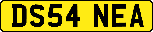 DS54NEA