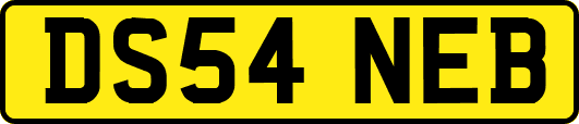 DS54NEB