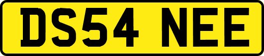 DS54NEE