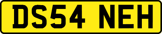 DS54NEH